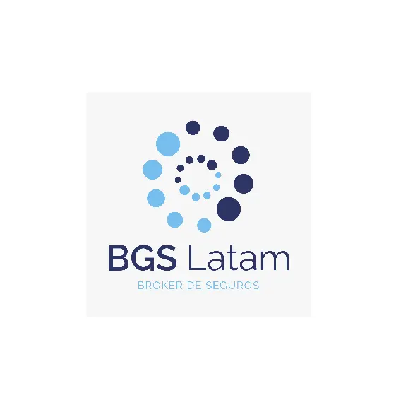 bsg